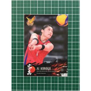 木村沙織 サイン入りフォト ミニ色紙 トレーディングmini色紙 木村沙織〜SAGOL(ありがとう)〜特製4