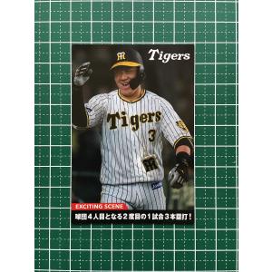 カルビー2000 プロ野球チップス 第三弾 レギュラーカード No.196 遠山