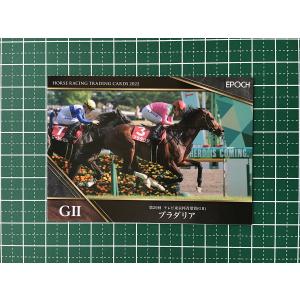 ☆EPOCH 2025 競馬 JRA ホースレーシング 2024 下半期総集編 #112