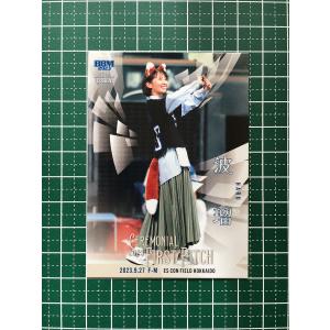 中古コレクションカード(男性) [強風カード]：バッテリィズ/寺家