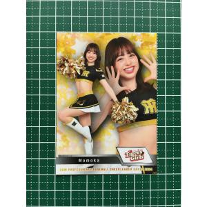 ☆BBM 2024 チアリーダーカード DANCING HEROINE #V14 茂木みなみ
