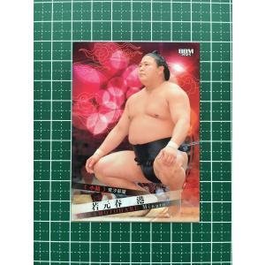 15BBM 大相撲カード LEGEND 至宝 #33 寺尾 常史 : スポーツカード