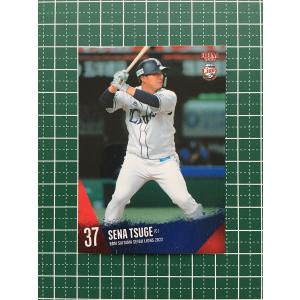 ☆BBM 2022 プロ野球 ベースボールカード #HO1 隅田知一郎［埼玉西武