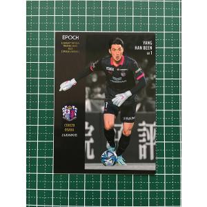 【世界に487枚】PSA10 サトシゲッコウガEX/WHF/プロモ 218 51EXe47WJpL._AC_SY200_QL15_.jpg