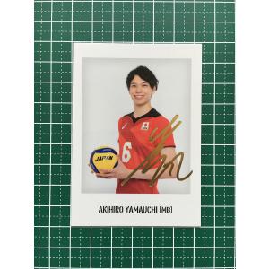 BBM2022 ベースボールカード FUSION 始球式カード(シークレット