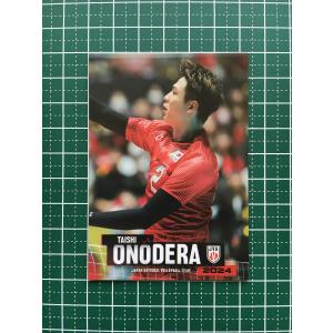 ☆バレーボール 男子 日本代表 2024 トレーディングカード 石川祐希