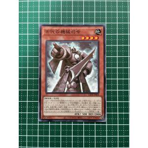 ☆遊戯王 LEGACY OF DESTRUCTION #LEDE-JP069 共界神淵体