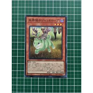 ☆遊戯王 QUARTER CENTURY EDITION #RC04-JP009 灰流うらら クォーター