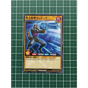 ☆遊戯王 ラッシュデュエル 破滅のレクイエム #RD/KP10-JP004 ひょう