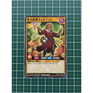 ☆遊戯王 ラッシュデュエル 破滅のレクイエム #RD/KP10-JP004 ひょう