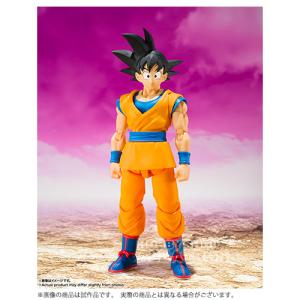 BANDAI フィギュアライズスタンダード 孫悟空＆クリリン DX