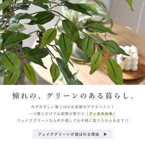 フェイクグリーン 大型 玄関 フィカス フィカ...の詳細画像1