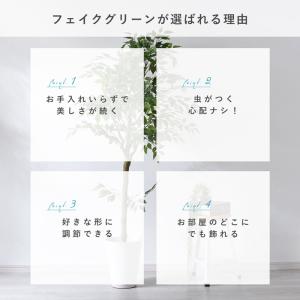 フェイクグリーン 大型 玄関 フィカス フィカ...の詳細画像2