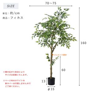 フェイクグリーン 大型 玄関 フィカス フィカ...の詳細画像3