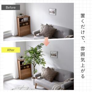 フェイクグリーン 大型 玄関 フィカス フィカ...の詳細画像4