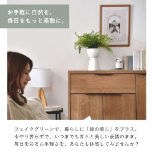 インテリアグリーン シダ 高さ40cm ナチュ...の詳細画像1