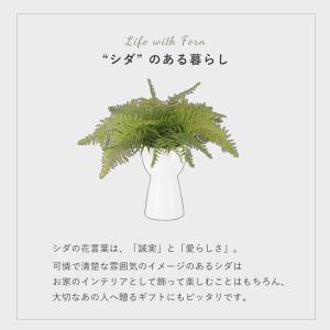 インテリアグリーン シダ 高さ40cm ナチュ...の詳細画像2