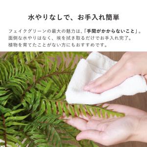 インテリアグリーン シダ 高さ40cm ナチュ...の詳細画像3