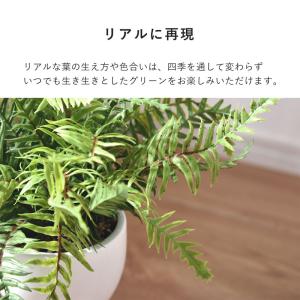 インテリアグリーン シダ 高さ40cm ナチュ...の詳細画像4