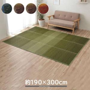 イケヒコ い草ラグ カーペット NCXクリア グラデーション 約190×300cm
