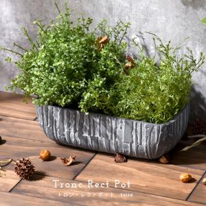 Disney（ディズニー） フラワーポット ミッキーポット （ ガーデン