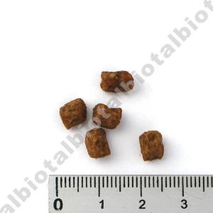 635g 6袋 フィーラインコンフォート 猫用品 猫 インドア インドア カントリーロード