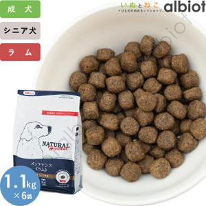 アニミューン 14g : OSK store - 通販 - Yahoo!ショッピング