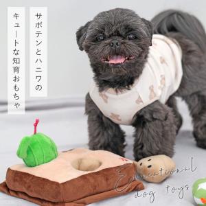 ドギーマン クーポン有) 伸縮フレックスケーブル2.5m ブルー 大型犬用