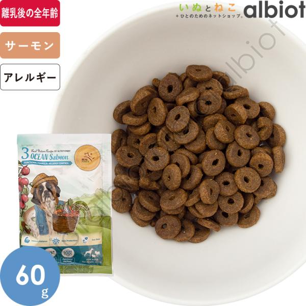リアルネイチャーレシピ No.3 オーシャンサーモン 60g ドッグフード