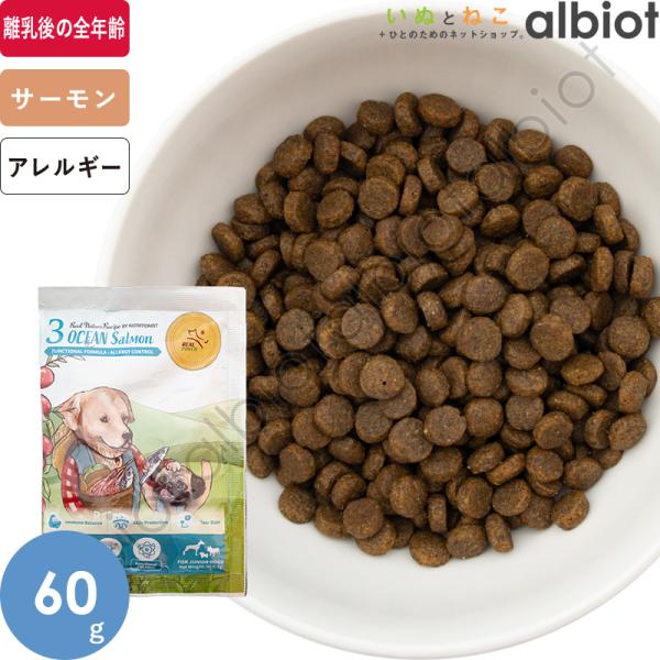 リアルネイチャーレシピ NO.3 オーシャンサーモン スモールブリード（小粒）60g ドッグフード