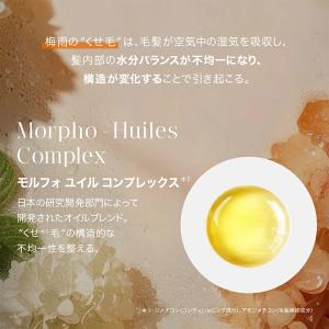 【1,012円OFF】ケラスターゼ DP フル...の詳細画像2