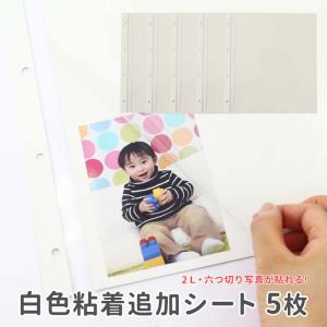 セキセイ KP-12L 補充用替台紙 Lサイズ両面12ポケット 【送料無料
