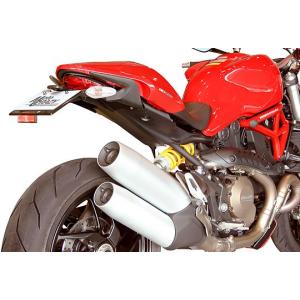DUCATI ドゥカティ Monster821 ステンレス製 フェンダーレスキット SFD