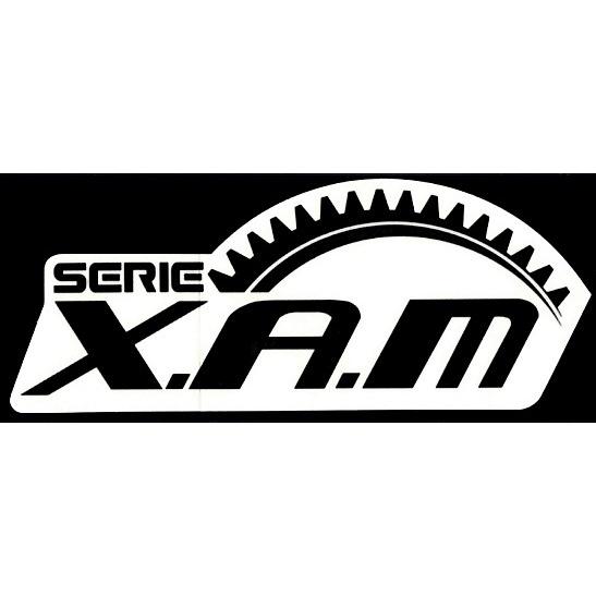 東洋マーク XAM ステッカー ブラック 透明ベース 37mm×90mm R-972
