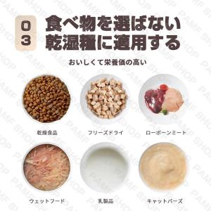 自動給餌器 オートペットフィーダー ペットフー...の詳細画像3