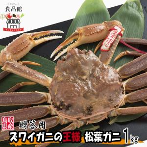 贈答用 松葉ガニ 蟹 生 ズワイガニ 国産 1.0kg前後 ギ...