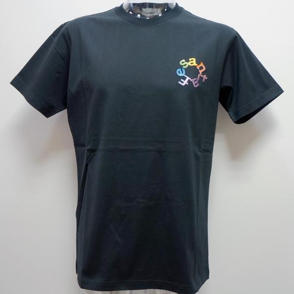 サンタフェ・24 春夏 SS 新作・40/2天竺 グラデーションロゴ 半袖Tシャツ(54)(4L)2...