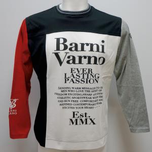 バーニヴァーノ・ギザンティシルケット天竺 サガラ刺繍 長袖Tシャツ(3L