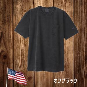 チャンピオン Champion 半袖Tシャツ ...の詳細画像5
