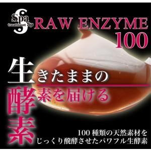 スパトリートメントSP 生酵素100 （3g X 30包） - 最安値・価格比較