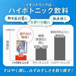 イオンドリンク 1ケース 22包入×30箱 ス...の詳細画像2