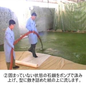 アレッポのソープ ノーマル 【アレッポの石鹸職...の詳細画像3