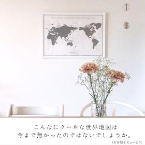 049 046 世界地図 A1 グレー ブラッ...の詳細画像2