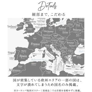 049 046 世界地図 A1 グレー ブラッ...の詳細画像4