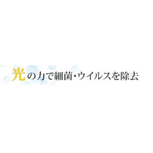 【受注生産】岩崎電気 FKST15501EH1...の詳細画像2