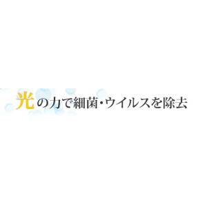 【受注生産品】岩崎電気 FMST15202EH...の詳細画像2