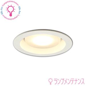 ODELIC（オーデリック） OD361321BCRS（No.293GB)LED電球型ダウン