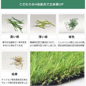 人工芝 ロール 1m×10m 芝丈30mm 4...の詳細画像2