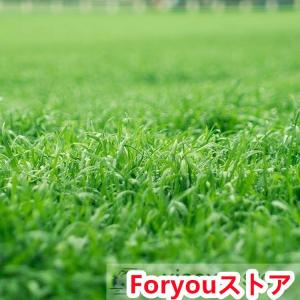 人工芝 ロール 1m×10m 人工芝生 人工芝...の詳細画像3