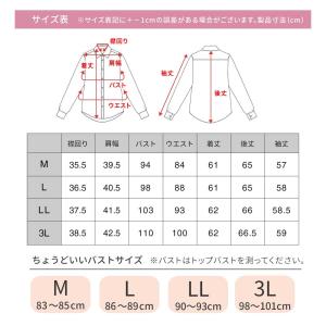 ブラウス レディース シャツ ノーアイロン ス...の詳細画像1